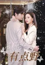 总裁夫人有点野 海报