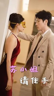苏小姐请住手 海报