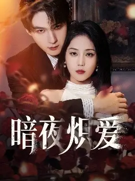 暗夜炽爱：一场致命的浪漫冒险