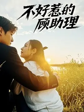 《不好惹的顾助理》：职场女王的反击与救赎之路